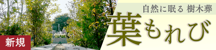 樹木葬「葉もれび」